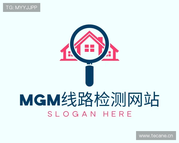 解读mgm线路检测网站